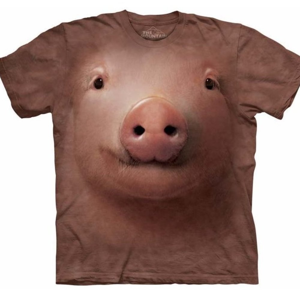 Pigs Baby Pig Face Farm Oink Squeal Swine Hog Animal T-Shirt Mountain Pink S-3X